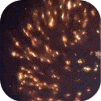 吞星（神王觉醒）